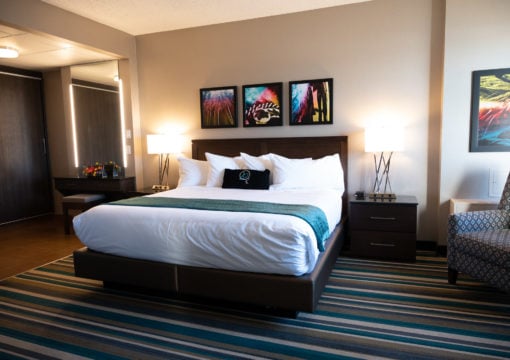 Platinum/Summit CEO Suites